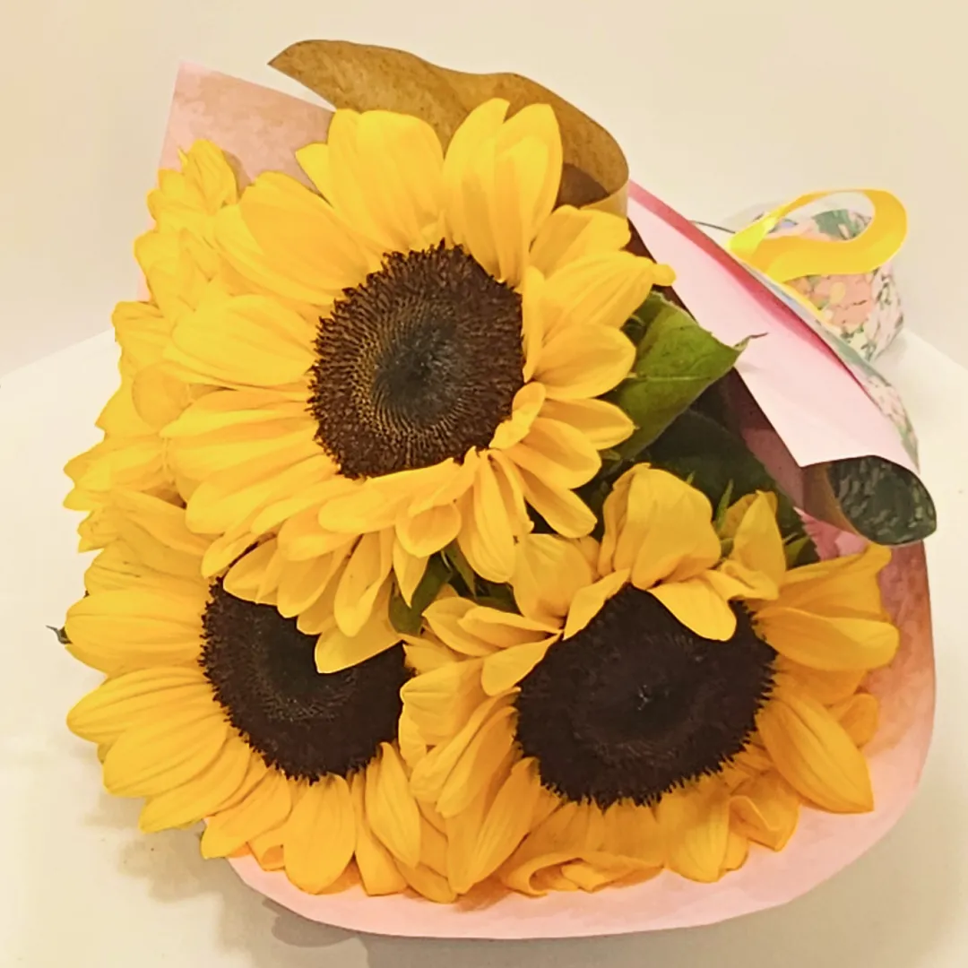 Sunflower Seeds – Sunflower Seeds | FloralBee Ανθοπωλείο Θεσσαλονίκη – Flower Shop Thessaloniki
